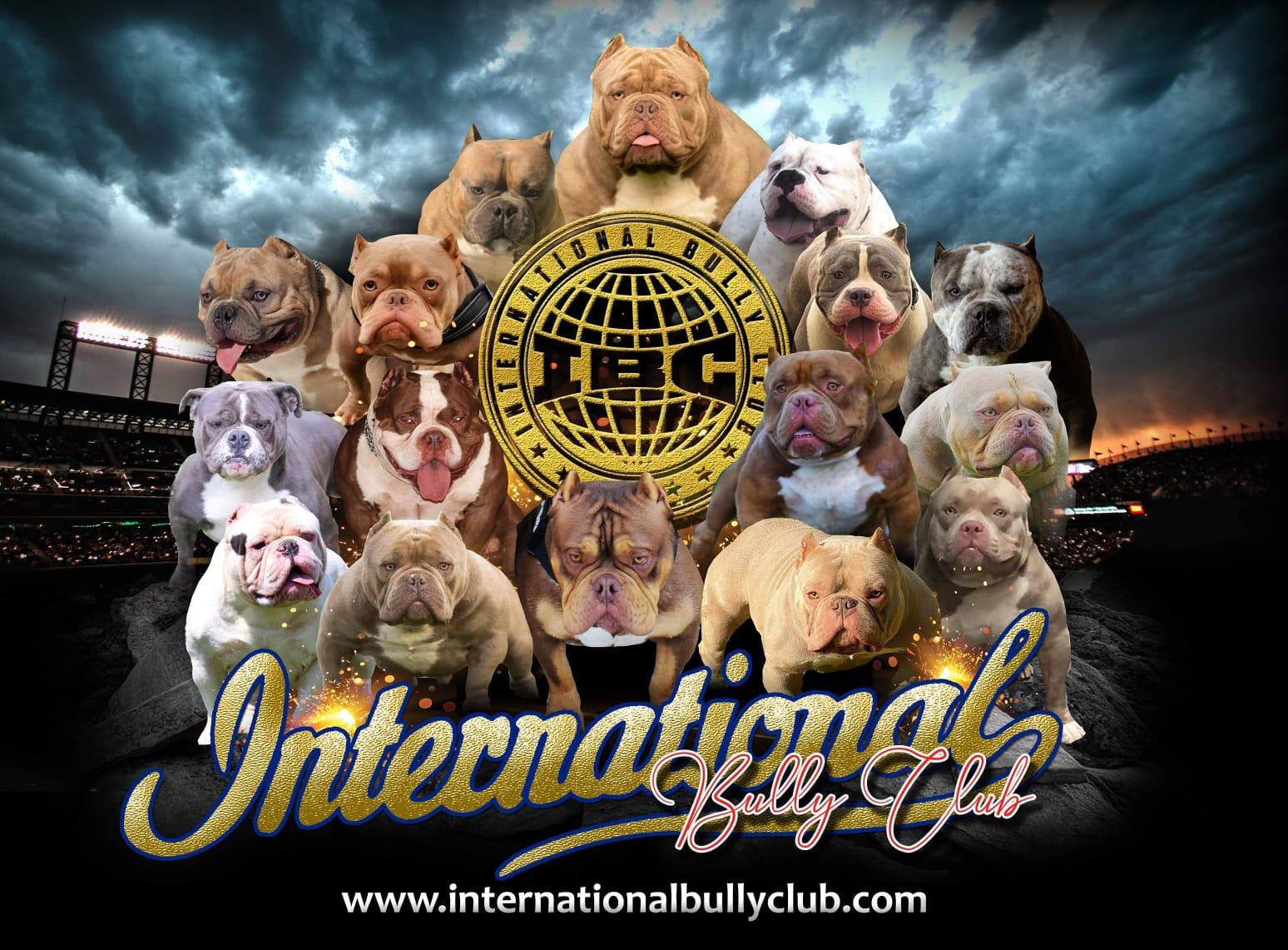 Immagine WhatsApp 2020 09 06 alle 12.30.51